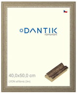 DANTIK frame 40 × 50, LYON silver plexi clear - Photo Frame