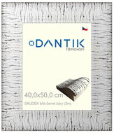 DANTIK frame 40 × 50, SAUDEK White black plexi clear - Photo Frame