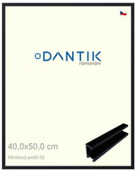 DANTIK frame 40 × 50, ALU profile 7003 Black matt plexi clear - Photo Frame