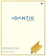 DANTIK frame 40 × 50, ALU profile 6030 Veneer coloured yellow citrus plexi clear - Photo Frame