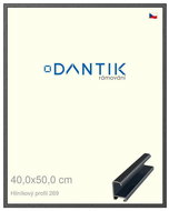 DANTIK frame 40 × 50, ALU profile 7269 Grey Oplal brushed plexi clear - Photo Frame