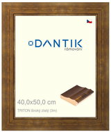 DANTIK frame 40 × 50, TRITON wide gold plexi clear - Photo Frame