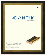DANTIK frame 40 × 50, Oro Fino black and gold plexi clear - Photo Frame