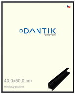 DANTIK frame 40 × 50, ALU profile 7001 Black matt plexi clear - Photo Frame