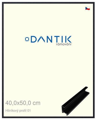 DANTIK frame 40 × 50, ALU profile 7001 Black matt plexi clear - Photo Frame - Main image