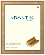 DANTIK frame 40 × 50, TOOTH small gold plexi clear - Photo Frame