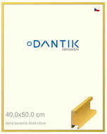 DANTIK frame 40 × 50, ALU profile 6035 Veneer coloured yellow citrus plexi clear - Photo Frame
