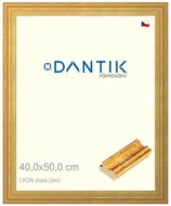 DANTIK frame 40 × 50, LYON gold plexi clear - Photo Frame