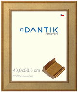 DANTIK frame 40 × 50, TOOTH gold plexi clear - Photo Frame