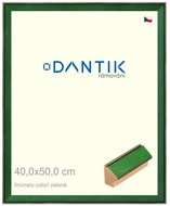 DANTIK frame 40 × 50, INCLINATA colouri green plexi clear - Photo Frame