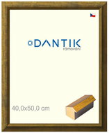 DANTIK frame 40 × 50, Forgia Gold plexi clear - Photo Frame