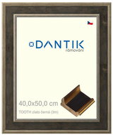 DANTIK frame 40 × 50, TOOTH gold black plexi clear - Photo Frame