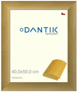 DANTIK frame 40 × 50, RENÉ natural plexi clear - Photo Frame