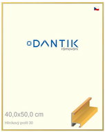 DANTIK frame 40 × 50, ALU profile 6030 veneer coloured yellow plexi clear - Photo Frame