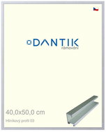 DANTIK frame 40 × 50, ALU profile 7003 Silver matt plexi clear - Photo Frame