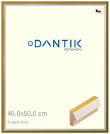 DANTIK frame 40 × 50, EVOQUE yellow plexi clear - Photo Frame