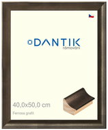 DANTIK frame 40 × 50, Ferrosa graphite plexi clear - Photo Frame