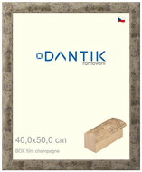 DANTIK frame 40 × 50, BOX film champagne plexi clear - Photo Frame