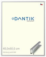 DANTIK frame 40 × 50, ALU profile 7269 Silver glossy plexi clear - Photo Frame