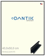DANTIK frame 40 × 50, ALU profile 7273 Black matt plexi clear - Photo Frame