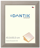 DANTIK frame 40 × 50, Caa Decapato white plexi clear - Photo Frame