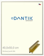 DANTIK frame 40 × 50, ALU profile 7269 Gold glossy plexi clear - Photo Frame