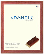 DANTIK frame 40 × 50, LYON red plexi clear - Photo Frame