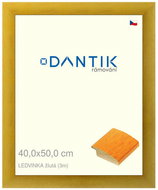 DANTIK frame 40 × 50, LEDVINKA yellow plexi clear - Photo Frame