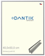 DANTIK frame 40 × 50, ALU profile 7002 Silver matt plexi clear - Photo Frame