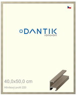 DANTIK frame 40 × 50, ALU profile 6220 champagne plexi clear - Photo Frame