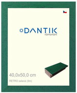 DANTIK frame 40 × 50, RETRO green plexi clear - Photo Frame