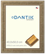 DANTIK frame 40 × 50, WING small gold patina plexi clear - Photo Frame