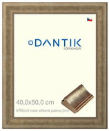 DANTIK frame 40 × 50, WING small silver patina plexi clear - Photo Frame
