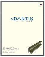 DANTIK frame 40 × 50, ALU profile 7003 Platinum matt plexi clear - Photo Frame