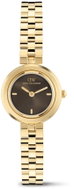 Daniel Wellington AUREA 25 3 - LINK AMBER Gold DW00101002 - Watch