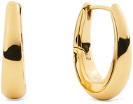 Daniel Wellington Flow Earrings gold DW00402078 - Earrings