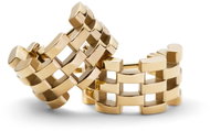 Daniel Wellington ladies earrings steel 5-Link DW00400990 - Earrings