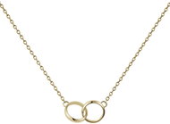 DANIEL WELLINGTON Women's necklace steel Elan Unity DW00400219 - Necklace