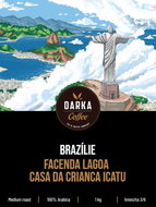 Brazil Facenda Lagoa Casa da Crianca ICATU, 200g - Coffee