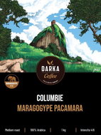 Columbie Maragogype Pacamara, 1000g - Coffee