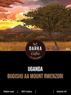 Uganda Bugishu AA Mount Rwenzori, 400g - Coffee