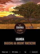 Uganda Bugishu AA Mount Rwenzori, 1000g - Coffee
