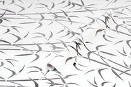 D-c-fix metallic bamboo - Self-Adhesive Film