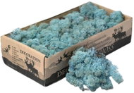 Deco Reindeer Moss Naturel Aquamarine, 500 g - Decoration
