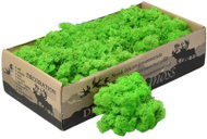 Deco Reindeer Moss Naturel Light Grass Green, 500 g - Decoration