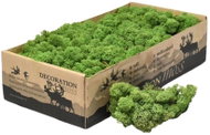 Deco Reindeer Moss Naturel Medium Green, 500 g - Decoration