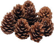 Decoled pine cones 8 × 12 cm, 6pcs - Decoration