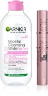 MAYBELLINE and GARNIER Set of decorative eye cosmetics - Cosmetic Set