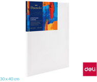 DELI Finenolo 30 x 40 cm - Art Canvas