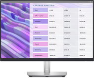 24" Dell P2423 Professional - Monitor